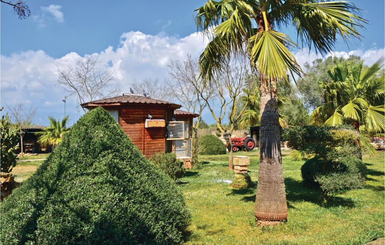 Awesome Home In Biniali With Wifi Biniali (Majorca)